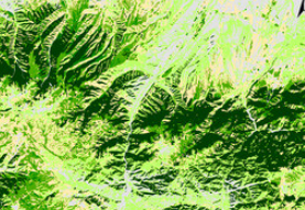 Canopy Chlorophyll Content Index