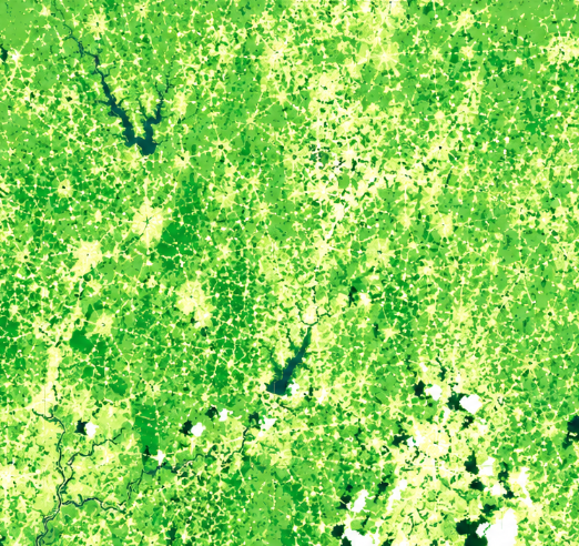 Green Chlorophyll Index