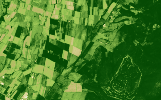Green Normalized Difference Vegetation Index
