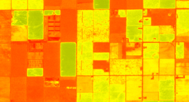 Normalized Difference Red Edge