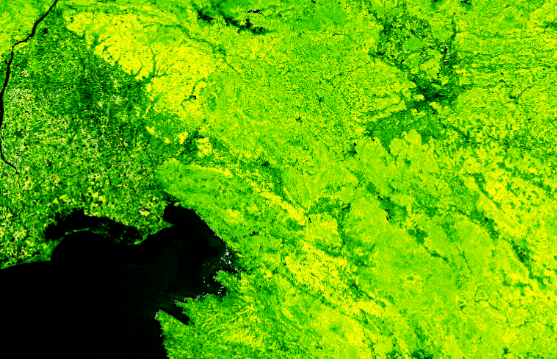 Red Edge Chlorophyll Index