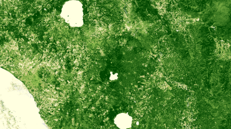 Enhanced Vegetation Index
