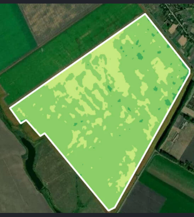 Modified Soil Adjusted Vegetation Index